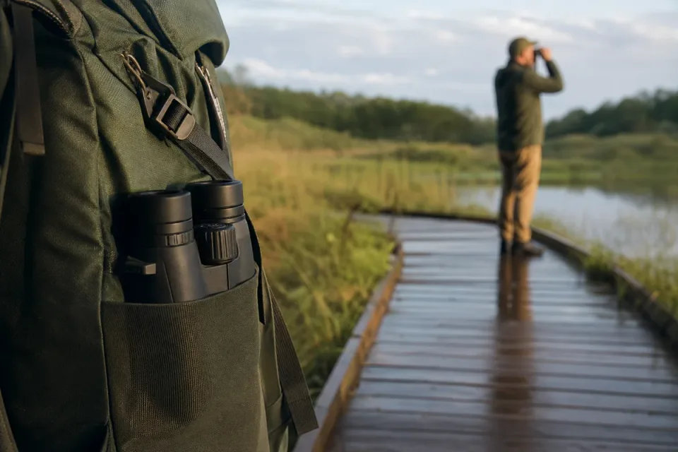 Editorial illustration of compact binoculars used to follow a bird