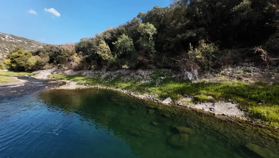 Sideways view of green riverbank vegetation, pale rocks, and trees beside the Hérault River
