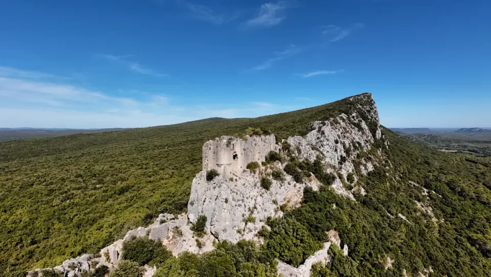 Viviourès ruins following an oblique limestone ridge with woodland beyond