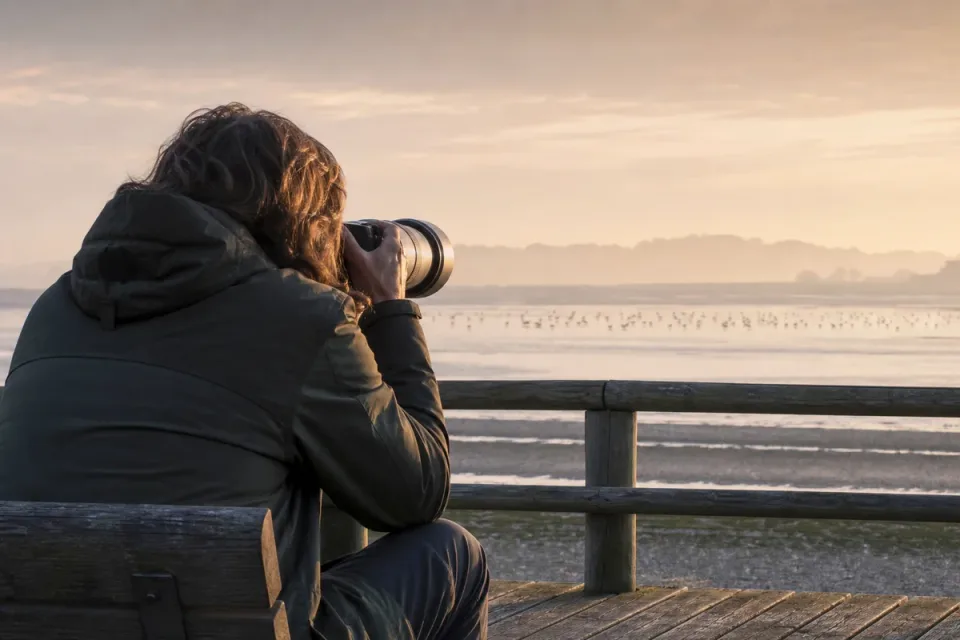 Editorial illustration for Best Telephoto Lenses for Bird Photography