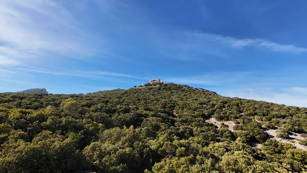 Small silhouette of Montferrand Castle above a wooded hillside and pale rock outcrops