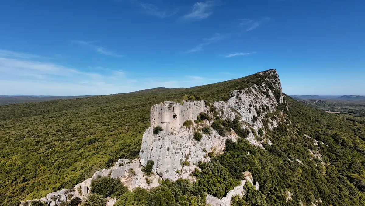 Viviourès ruins following an oblique limestone ridge with woodland beyond
