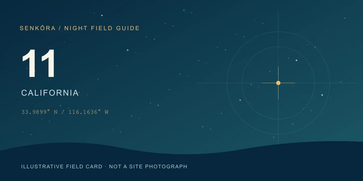 Illustrative night-sky field card for Joshua Tree National Park; not a photograph of the site.